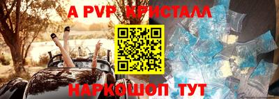 шишки Бузулук